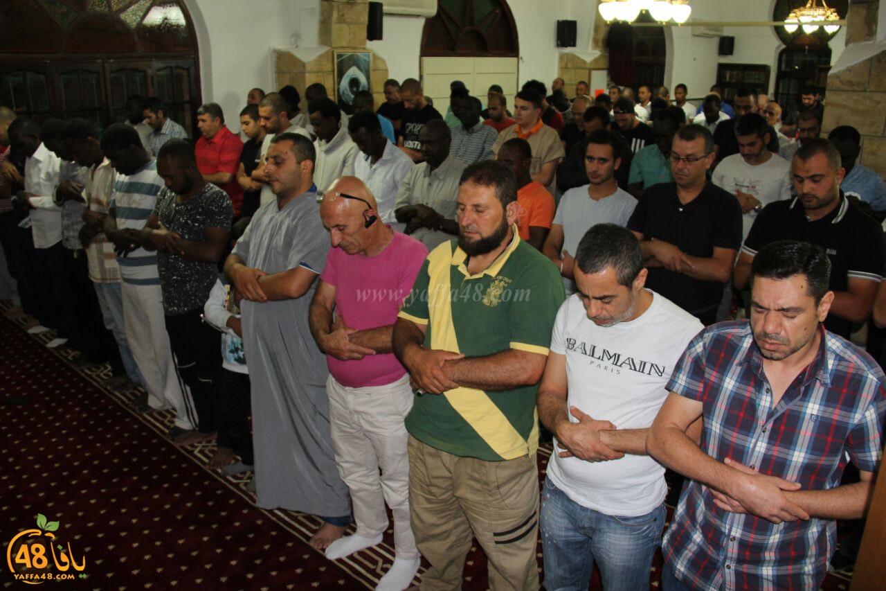 trawe7 salahsaj (27).jpg